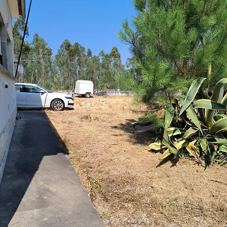 Casas Chris Cavadas Nyaraló Valarinho (Pombal)